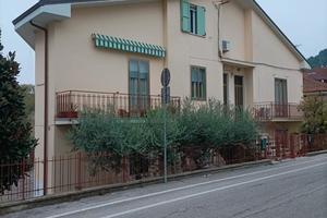 RGE 137/2024 Trib Pesaro