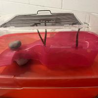 Vasca per tartarughe