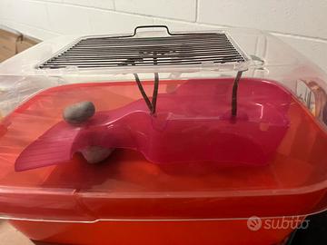 Vasca per tartarughe