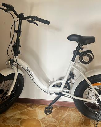 Biciletta pieghevole Fat Bike