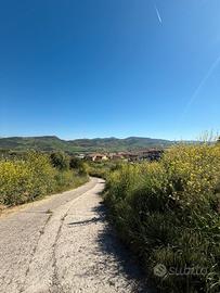 Terreni edificabili a 5 minuti da viale italia