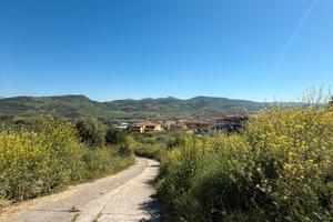 Terreni edificabili a 5 minuti da viale italia