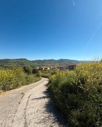 Terreni edificabili a 5 minuti da viale italia