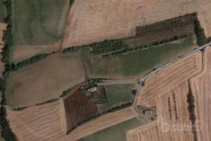 Terreno biologico di circa 12 ettari