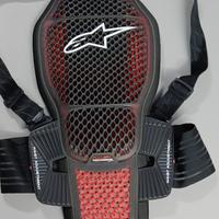 Paraschiena Alpinestars KR-1 cell