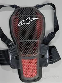 Paraschiena Alpinestars KR-1 cell