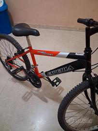 bici bimbo 24 funzionante