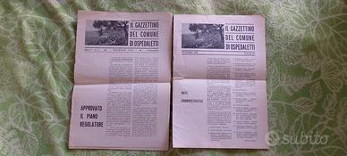 2 copie :  Gazzettino del Comune di Ospedaletti