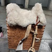 Sella da cavallo, tipo "argentina"