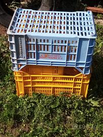 cassette in plastica per orto e frutta
