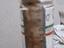 Immagine 4