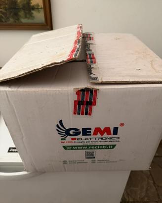 Recinzione Elettronica Gemi