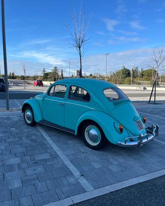 Maggiolino 6v