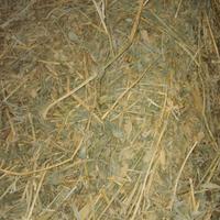 Ballette di fieno di erbamedica