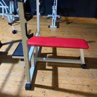 Panca piana technogym