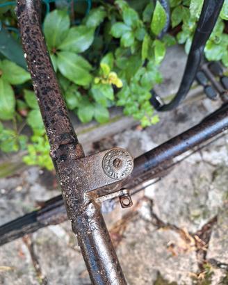 Bici Bianchi Milano