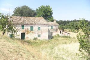 RUSTICO A COLLI AL METAURO