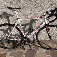 bicicletta olimphia per uomo 