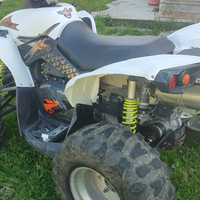Can am Renegade 800