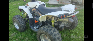 Can am Renegade 800