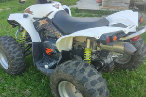 Can am Renegade 800