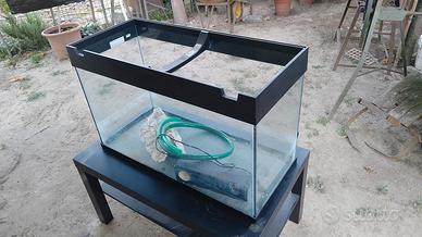 acquario