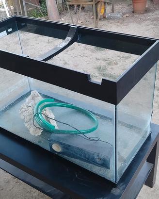 acquario