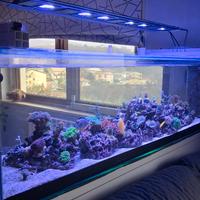 Lampada plafoniera per acquario marino maxpect rsx