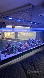 Lampada plafoniera per acquario marino maxpect rsx