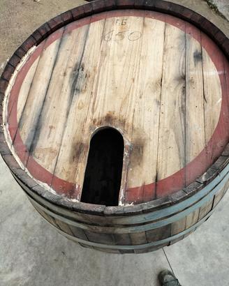 botte vino, giardino, tavolo, vasi... 