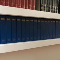 Raccoglitori rivista RID