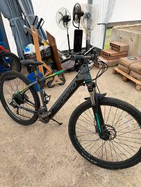 Bicicletta Pedalata assisita