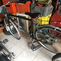 Bici uomo wheeline