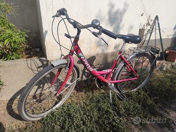 bicicletta 24" donna Zephyr