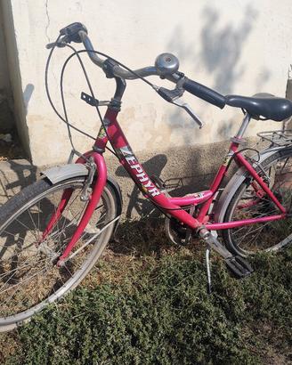 bicicletta 24" donna Zephyr