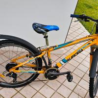 bicicletta