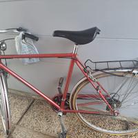 Bici stella veneta