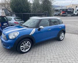 MINI Mini Cooper A.E. - 2010