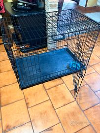 Kennel per cani
