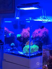 acquario marino e  refugium completo