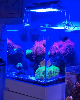 acquario marino e  refugium completo