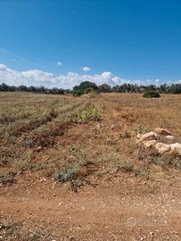 Terreno vicino alla Riserva di Torre Guaceto