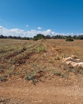 Terreno vicino alla Riserva di Torre Guaceto