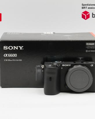 Sony A6600
