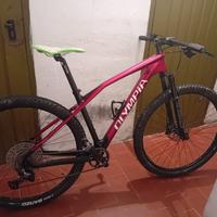 bicicletta in carbonio Olimpia 