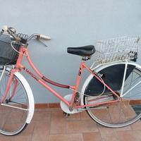 Bicicletta da donna ruote da 26'