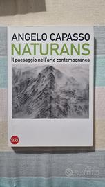 Naturans. Il paesaggio nell'arte contemporanea