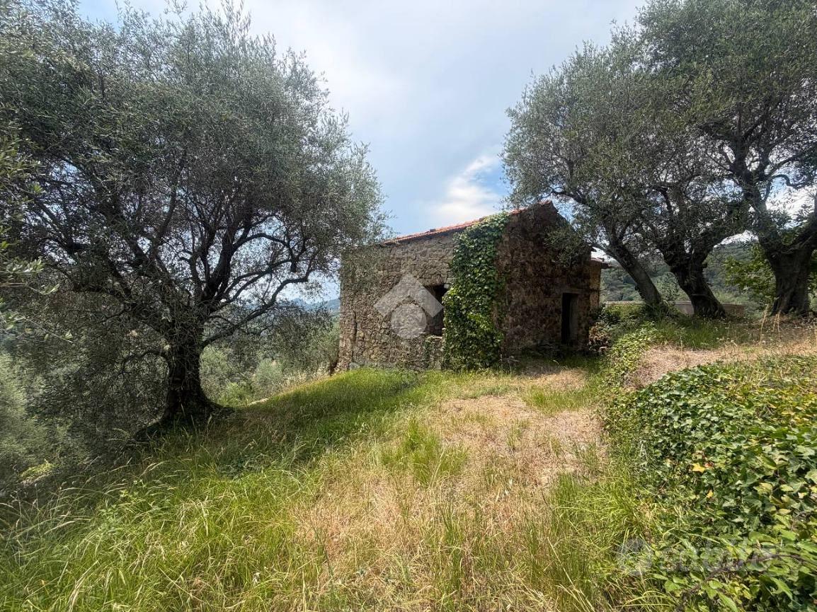 RUSTICO A VALLEBONA - Altro