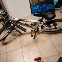 bicicletta per bambino