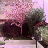 Grazioso Bilocale Arredato